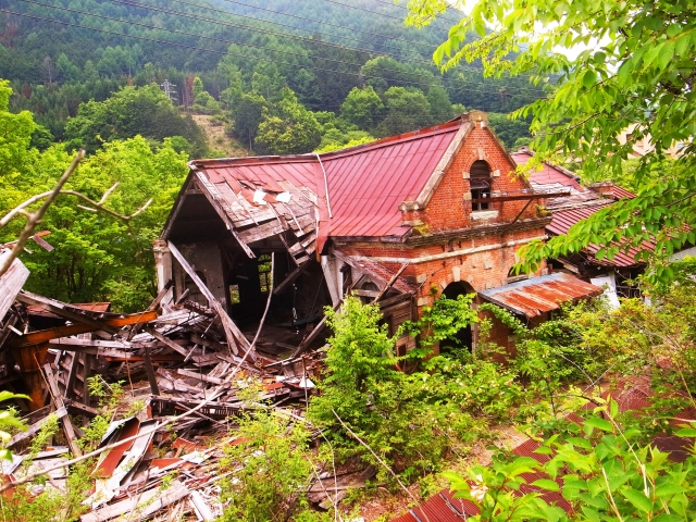 SDG����̗�