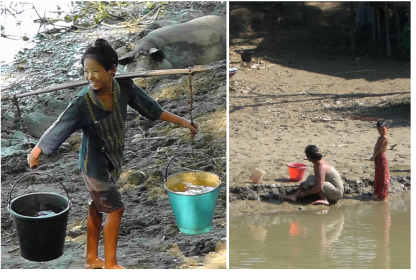 SDG����̗�