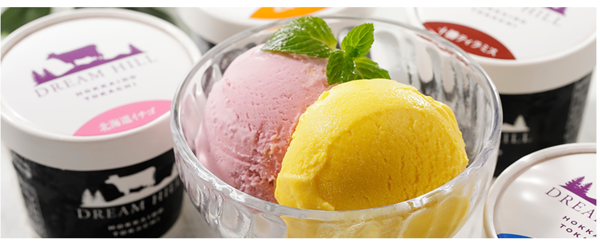 SDG����̗�