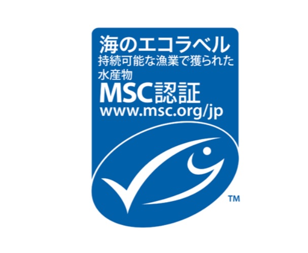 SDG����̗�