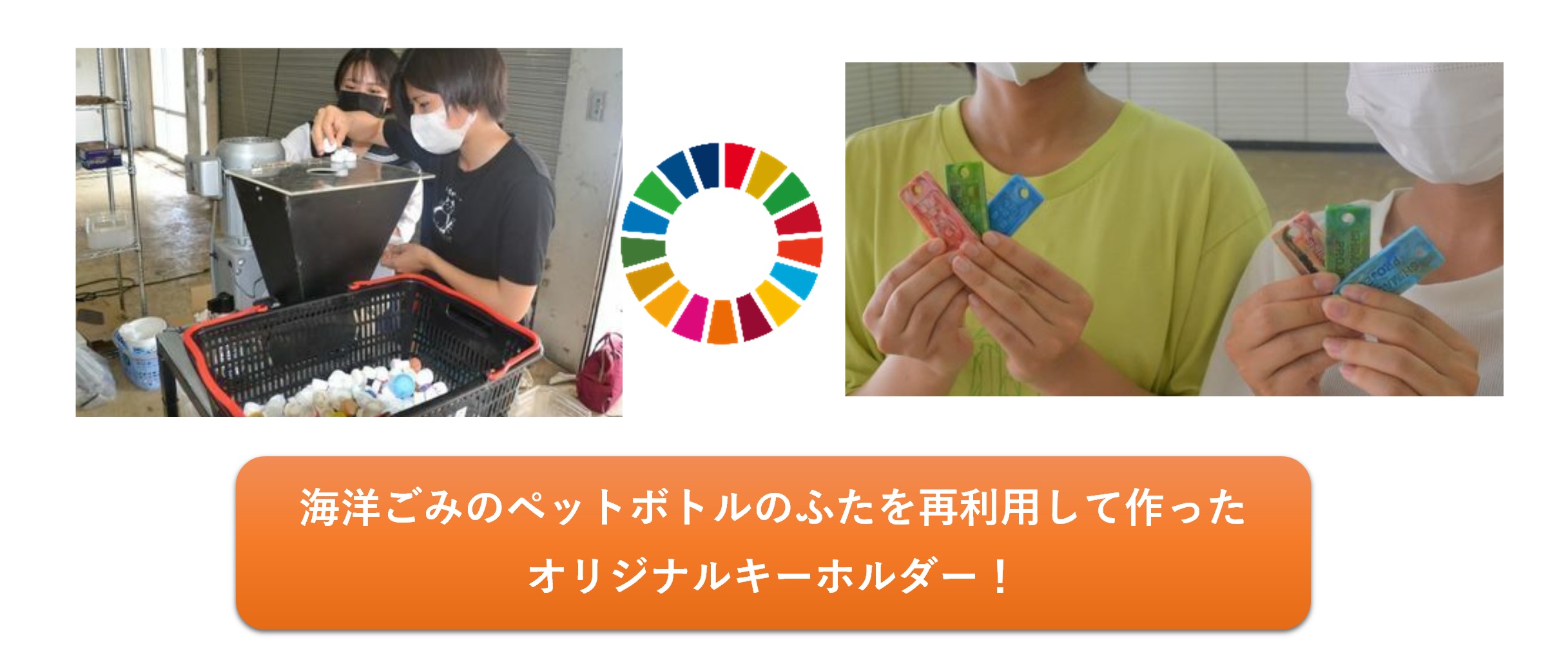 SDG����̗�