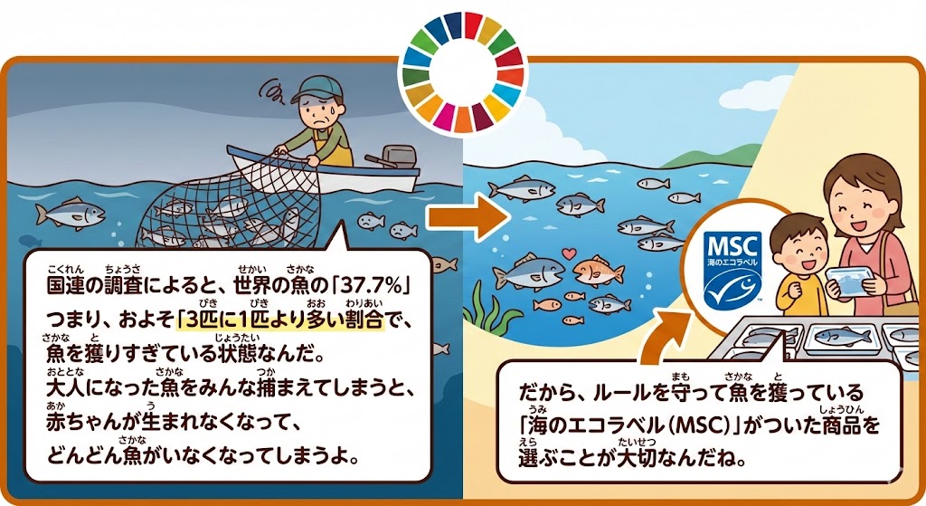 SDGs�̊w�K�p�C���X�g�B���E�I�ȋ��̗��l�̌���ƁA���������u�C�̃G�R���x���iMSC�j�v�̏d�v�������w�������ɉ�������}���B