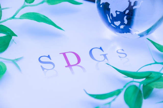 SDG����̗�