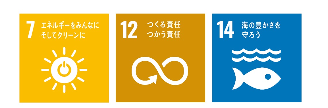 SDG�����w���E���w��