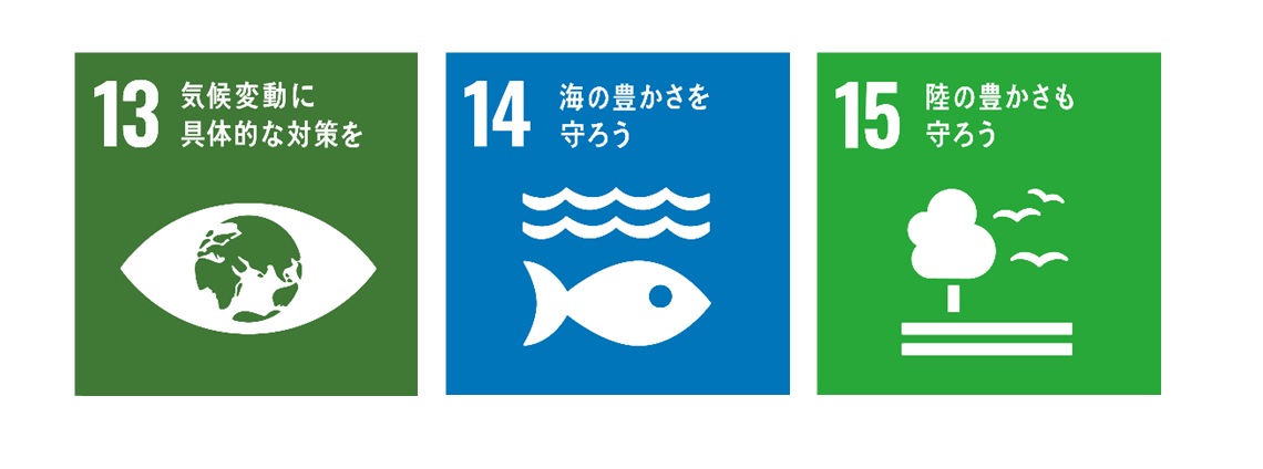 SDG�����w���E���w��