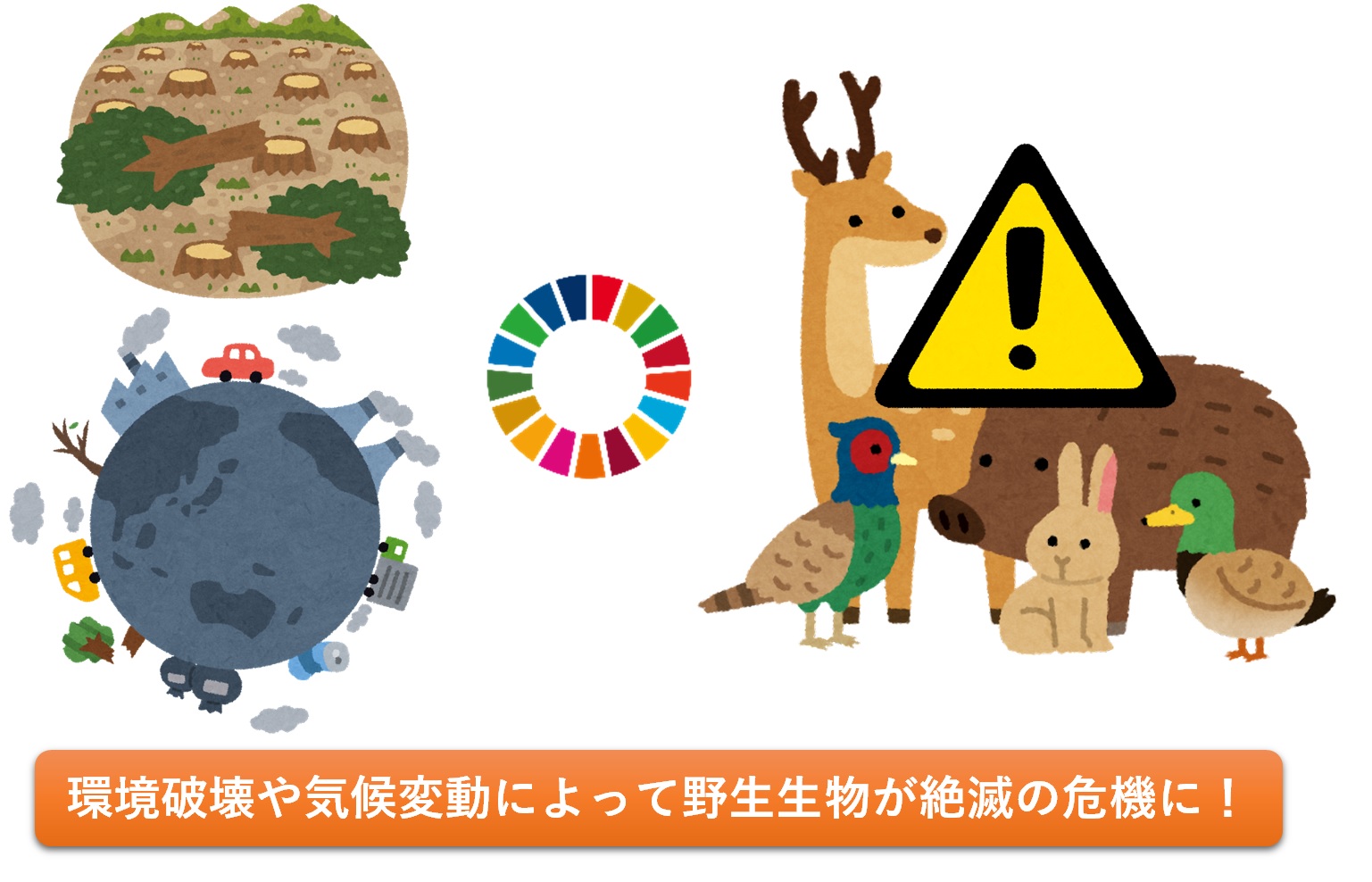 SDG����̗�