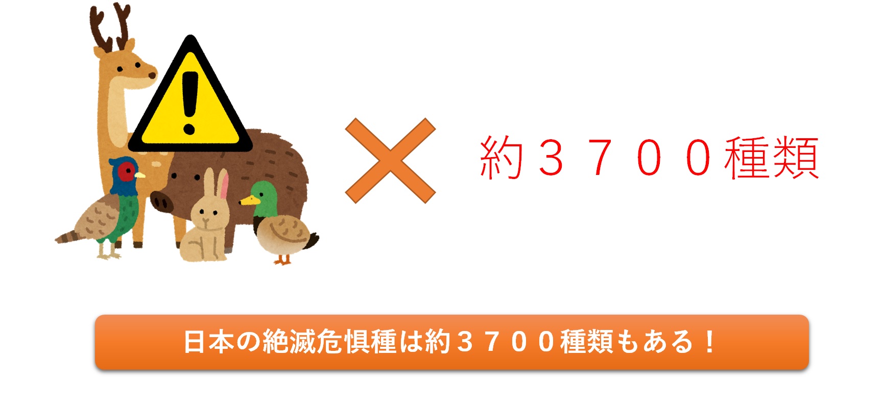 SDG�����w���E���w��