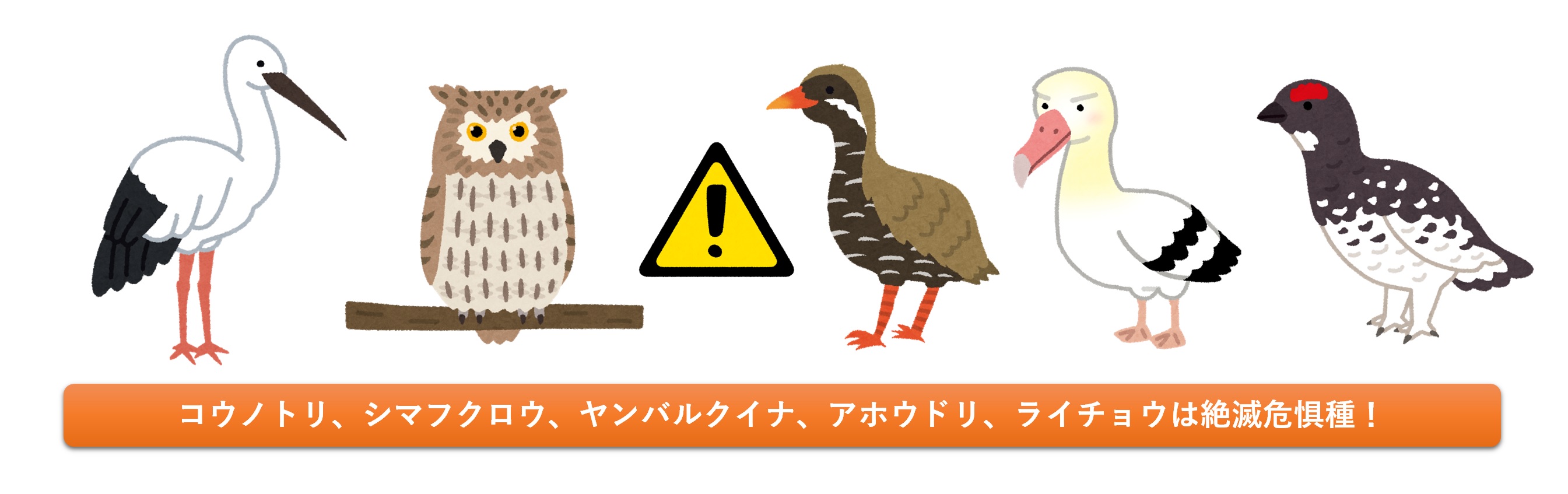 SDG�����w���E���w��